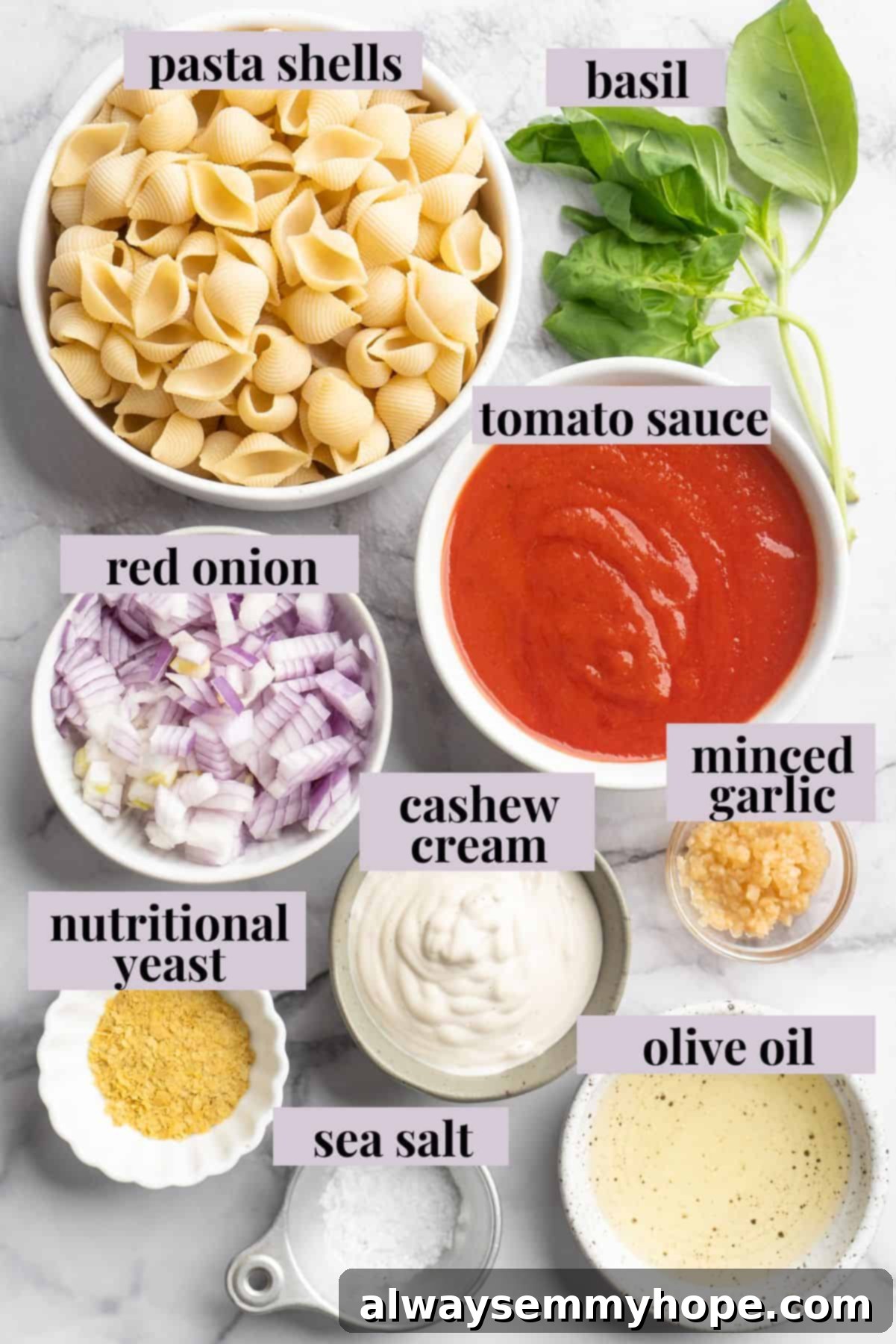 Overhead view of fresh ingredients for creamy tomato pasta, including pasta shells, red onion, garlic, tomato sauce, and a bowl of cashew cream.