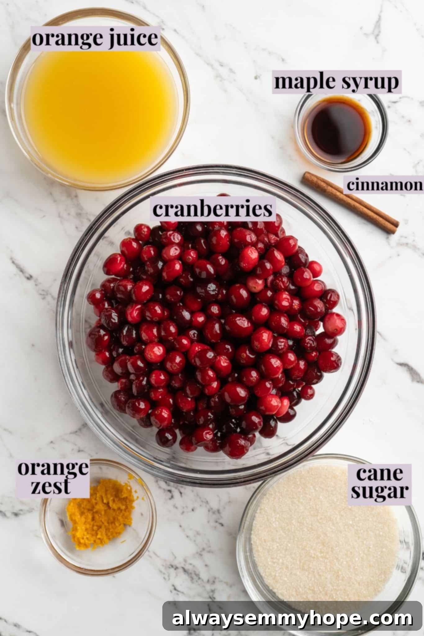 Overhead view of ingredients for cranberry orange sauce