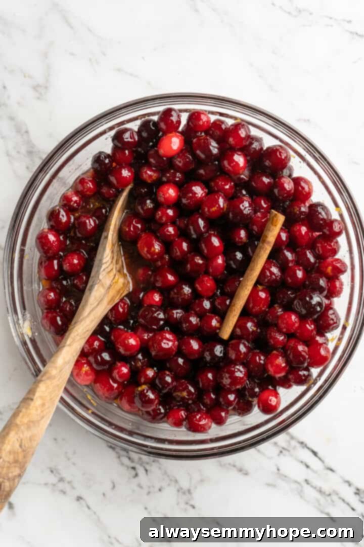 Overhead view of cranberries and cinnamon stick in glass bowl with wooden spoon