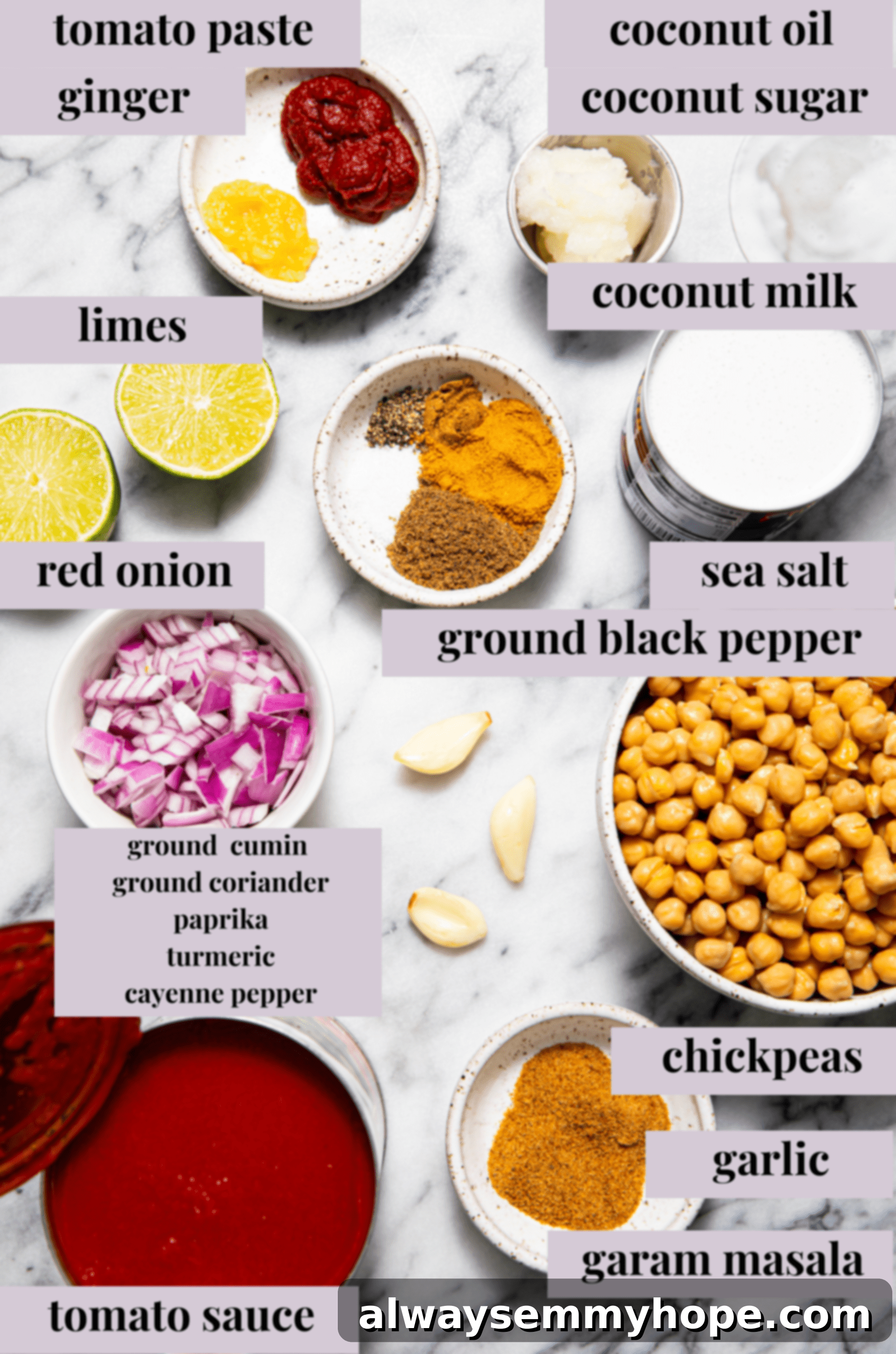 Ingredients for chickpea tikka masala.