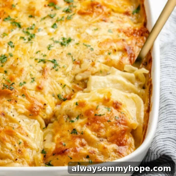 80+ Vegan Thanksgiving Feast Recipes 12 Creamy, layered vegan scalloped potatoes baked to golden perfection in a casserole dish.