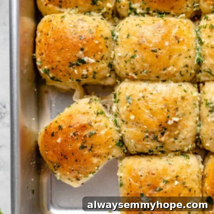 80+ Vegan Thanksgiving Feast Recipes 3 Soft, golden-brown vegan garlic parmesan dinner rolls with fresh herbs, perfect for a Thanksgiving feast.