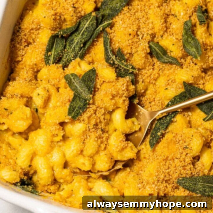 80+ Vegan Thanksgiving Feast Recipes 21 Creamy vegan butternut squash mac and cheese, baked until golden, with a rich, vibrant orange hue.