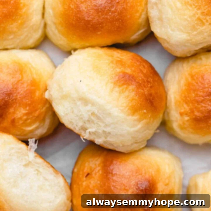 80+ Vegan Thanksgiving Feast Recipes 4 Pillowy soft and fluffy vegan dinner rolls, golden-brown and ready to be served with butter.