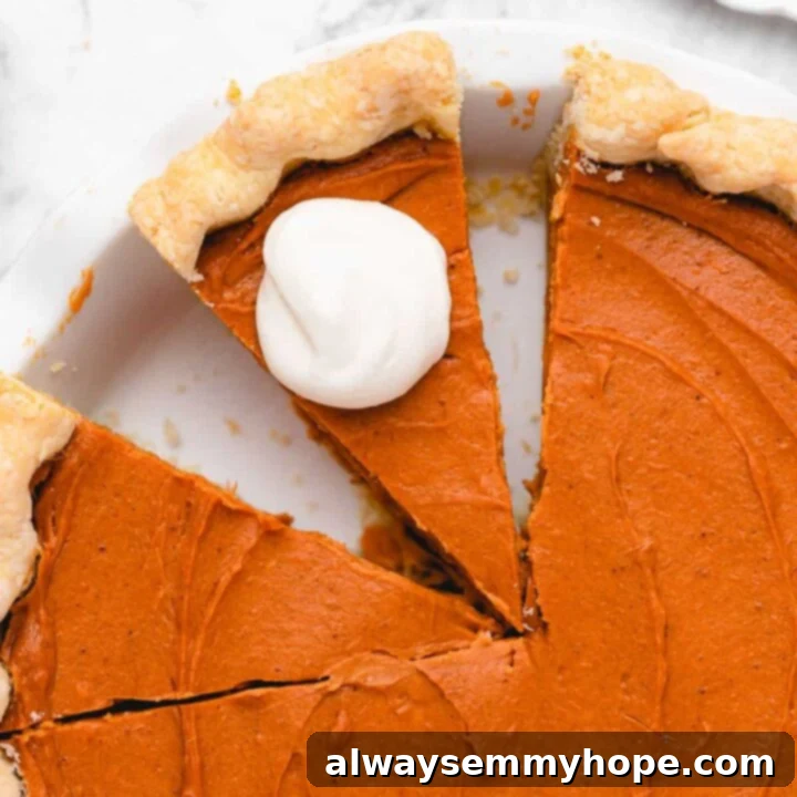 80+ Vegan Thanksgiving Feast Recipes 5 A beautifully baked vegan sweet potato pie with a smooth, spiced filling and a flaky crust.