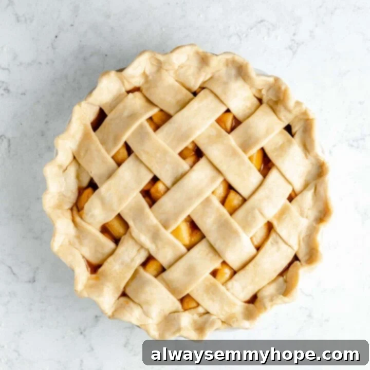 80+ Vegan Thanksgiving Feast Recipes 6 A golden, flaky vegan pie crust, perfect for any sweet or savory pie, showcased with a beautiful lattice top.