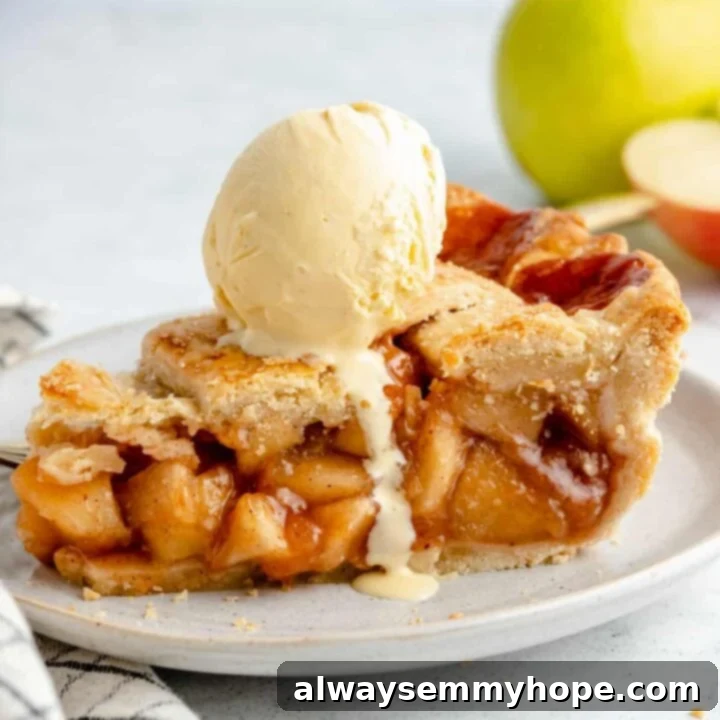 80+ Vegan Thanksgiving Feast Recipes 7 A rustic, golden-brown vegan apple pie with a delicious, spiced apple filling bubbling under a beautiful lattice crust.