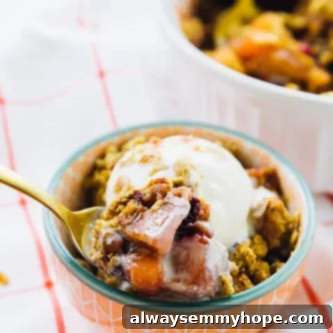 80+ Vegan Thanksgiving Feast Recipes 65 A warm, bubbly vegan cranberry apple crisp with a golden oat topping, served in a rustic baking dish.