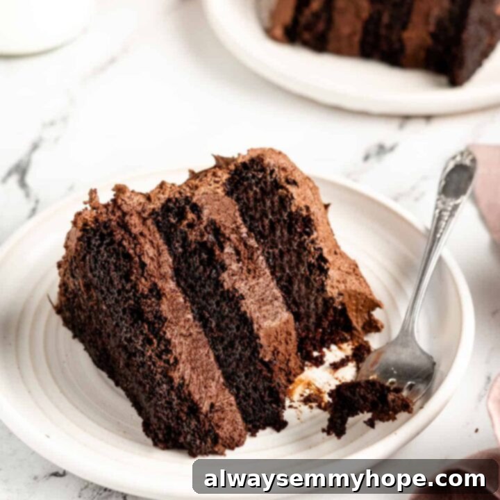 80+ Vegan Thanksgiving Feast Recipes 70 A decadent vegan gluten-free chocolate cake, richly frosted and topped with fresh berries, perfect for a celebration.