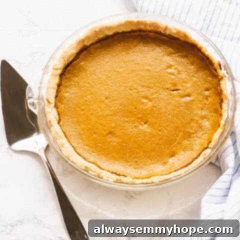 80+ Vegan Thanksgiving Feast Recipes 75 A golden, flaky gluten-free vegan pie crust, perfect and ready for filling.