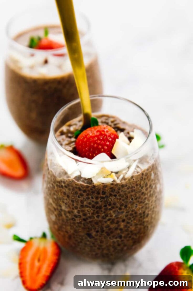 Rich chocolate chia pudding topped with fresh berries.