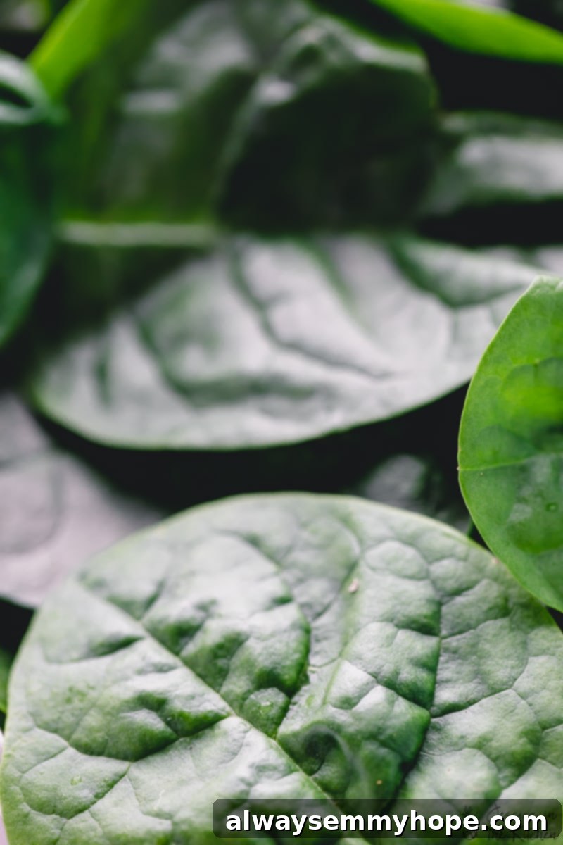 Close up of bright green leaves, possibly spinach or fresh herbs, ready for garnish.