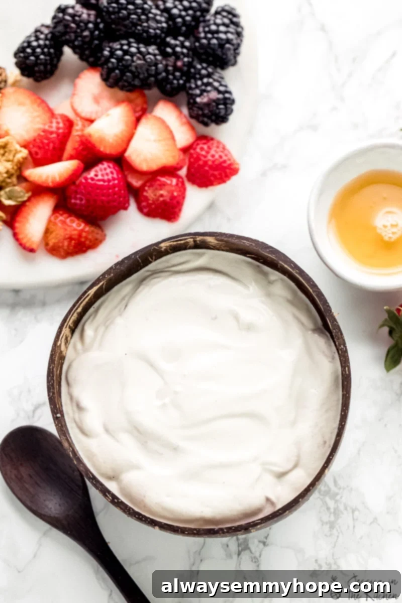Luscious Homemade Vegan Yogurt 4 Top down shot of vegan yogurt in a brown bowl.