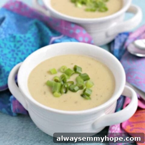 25 Festive Vegan Recipes for St. Patrick's Day 8 Creamy Instant Pot Vegan Potato Leek Soup in a bowl, garnished with fresh herbs.