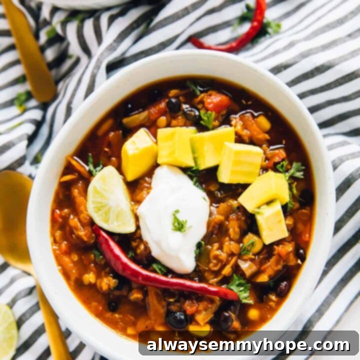 Easy One Pot Red Lentil Chili