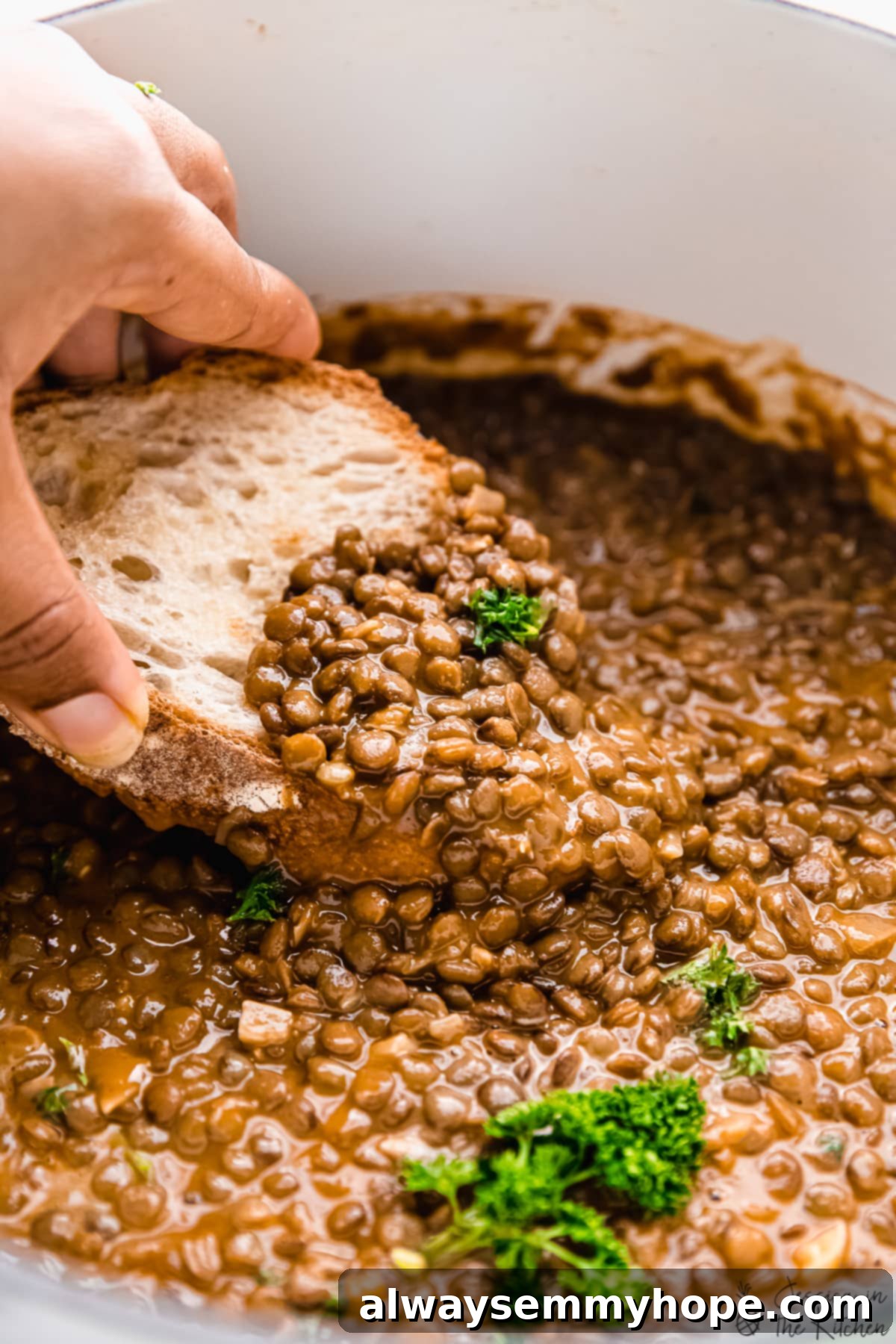 Bread dipped into a pot of rich, aromatic vegan lentil stew, highlighting its creamy texture and vibrant color.