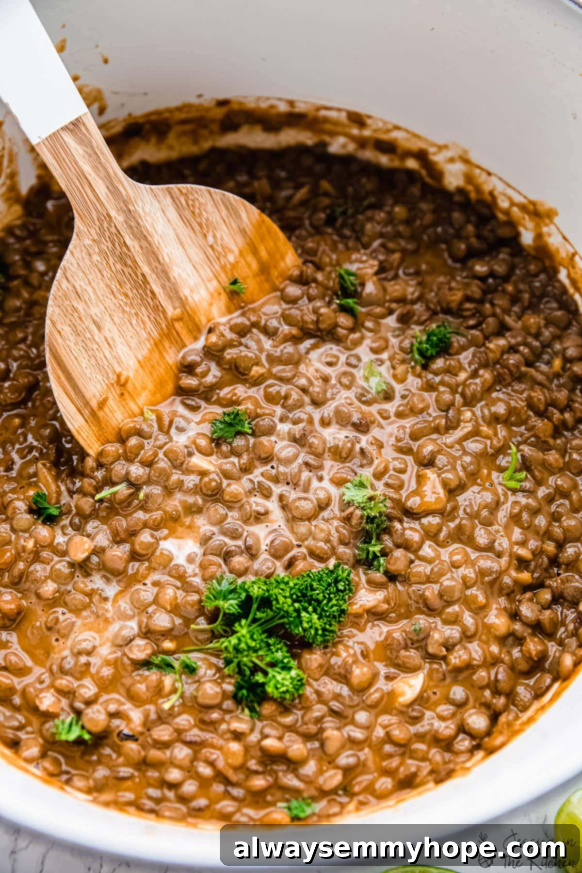 Close-up shot of creamy coconut lentil stew simmering gently in a pot, showcasing its rich texture.