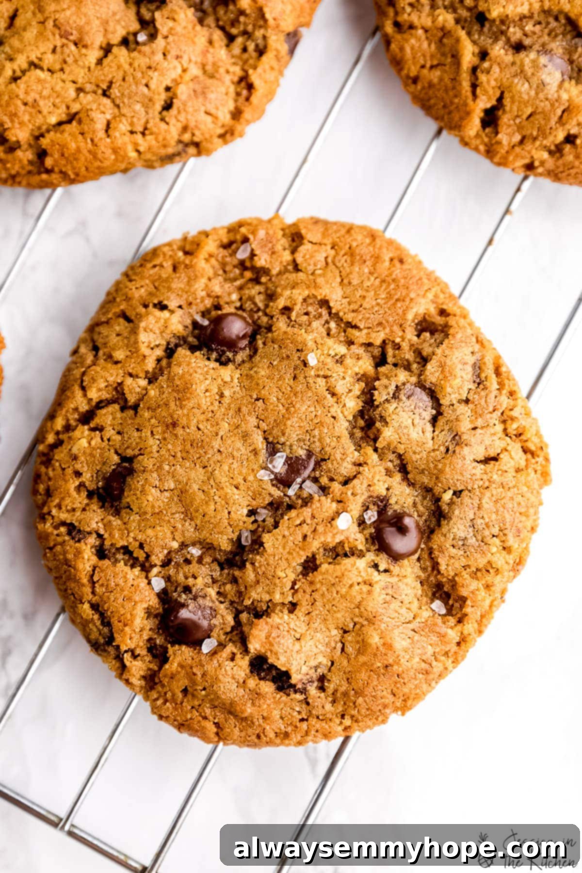 This is the best vegan chocolate chip cookies recipe! With only 5 ingredients, these vegan cookies are soft-baked, chewy, and EASY to make! Close-up of a single vegan chocolate chip cookie on a wire cooling rack, showing its soft texture and melted chocolate.