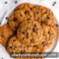 Ultimate Vegan Chocolate Chip Cookies 2 Overhead view of vegan chocolate chip cookies piled on a plate next to a bowl of sea salt.