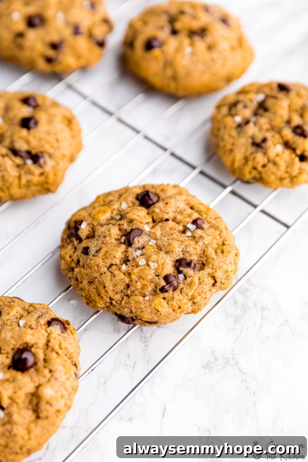 Soft oatmeal chocolate chip cookies on wire rack