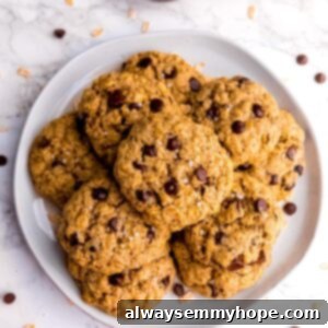 Overhead view of oatmeal chocolate chip cookies piled onto plate