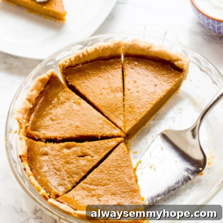 One Can, 20 Vegan Coconut Milk Recipes 11 Slice of Vegan Pumpkin Pie with a flaky crust.