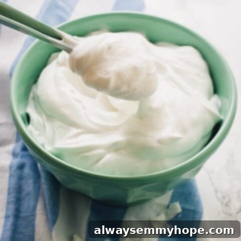 One Can, 20 Vegan Coconut Milk Recipes 12 Close-up of fluffy Coconut Whipped Cream in a bowl.