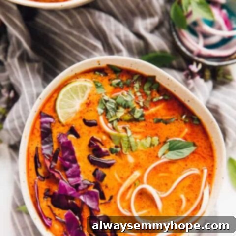 One Can, 20 Vegan Coconut Milk Recipes 14 Delicious Vegan Coconut Curry Soup with Noodles in a bowl.
