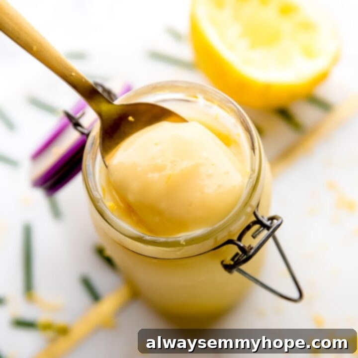One Can, 20 Vegan Coconut Milk Recipes 19 Smooth and creamy Easy Vegan Lemon Curd in a jar.