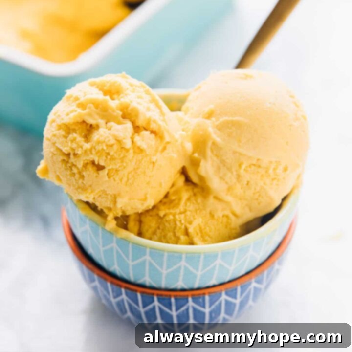 One Can, 20 Vegan Coconut Milk Recipes 20 Scoops of creamy Vegan Mango Ice Cream with mint garnish.