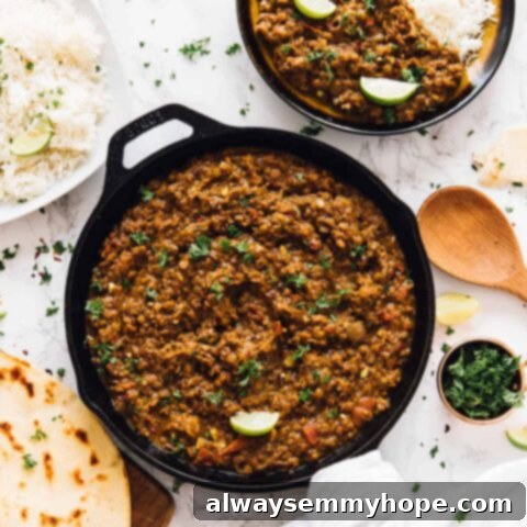 One Can, 20 Vegan Coconut Milk Recipes 22 Hearty Red Lentil Curry in a bowl with cilantro.