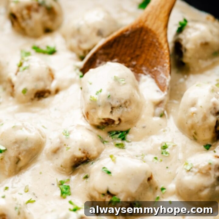 One Can, 20 Vegan Coconut Milk Recipes 23 Vegan Swedish Meatballs served with lingonberry jam and parsley.