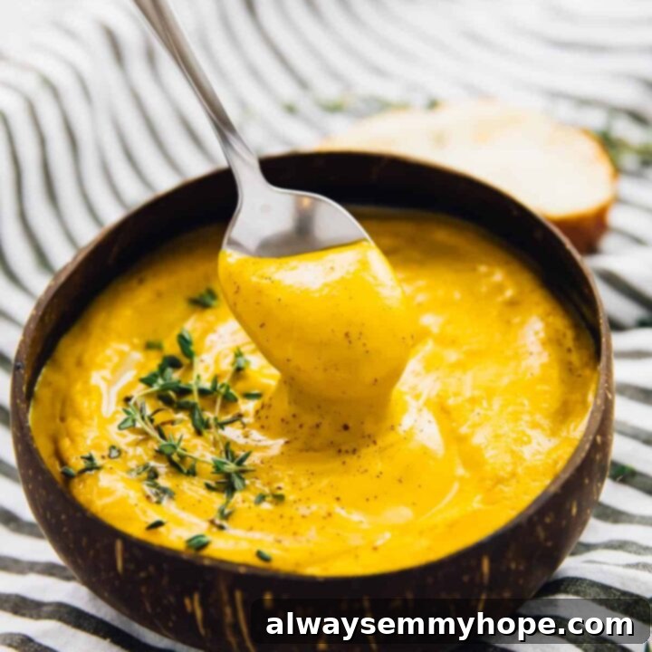 One Can, 20 Vegan Coconut Milk Recipes 9 Creamy Roasted Sweet Potato Soup with herbs.
