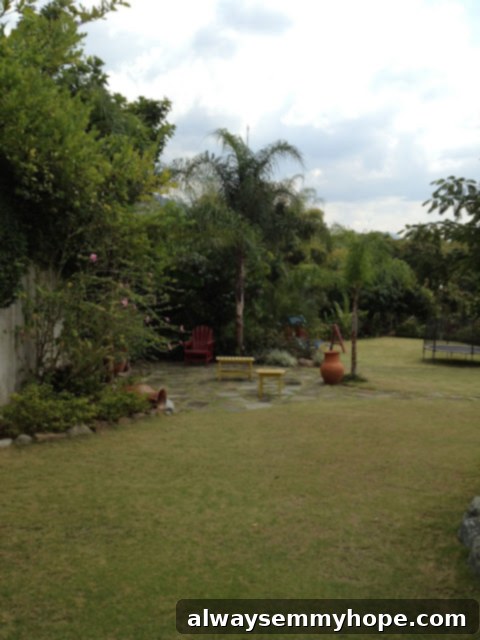 A well-groomed garden patch thriving with various plants