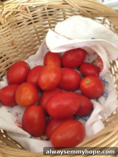 A generous batch of intensely red, ripe tomatoes neatly arranged in a basket