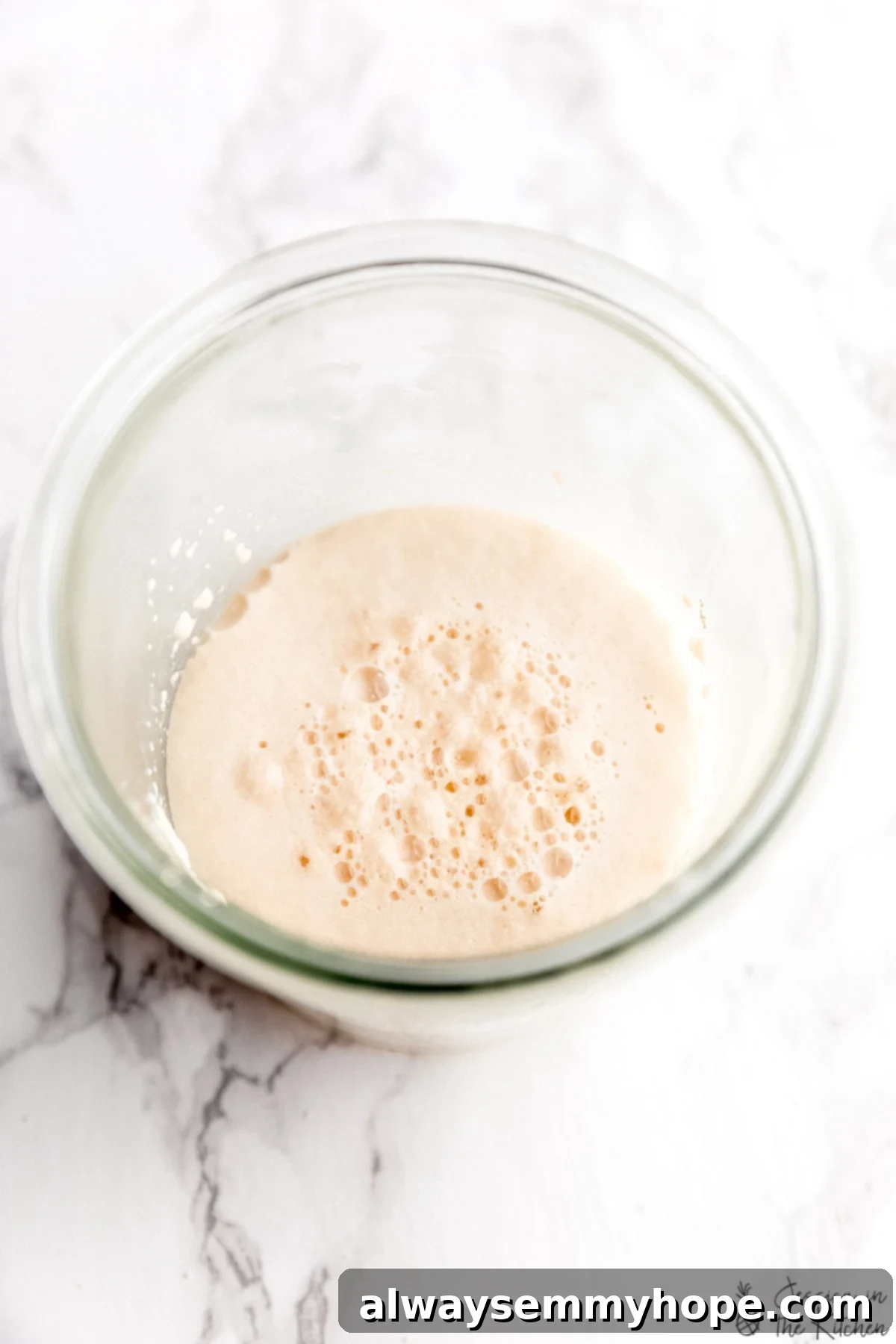 How to Test Yeast for Viability 2 Yeast bubbling and foaming in a how to test yeast process.