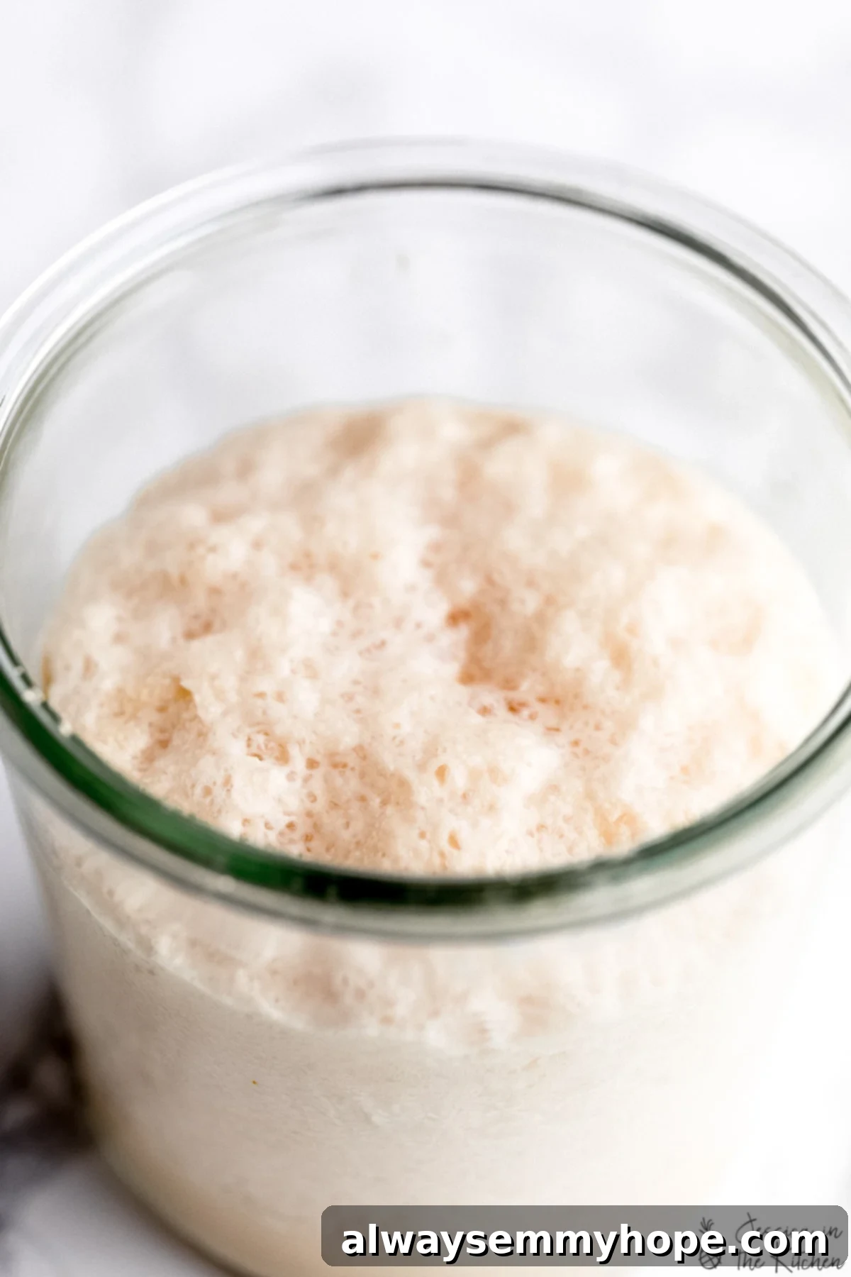 How to Test Yeast for Viability 6 Yeast that is proofing and bubbling close up.