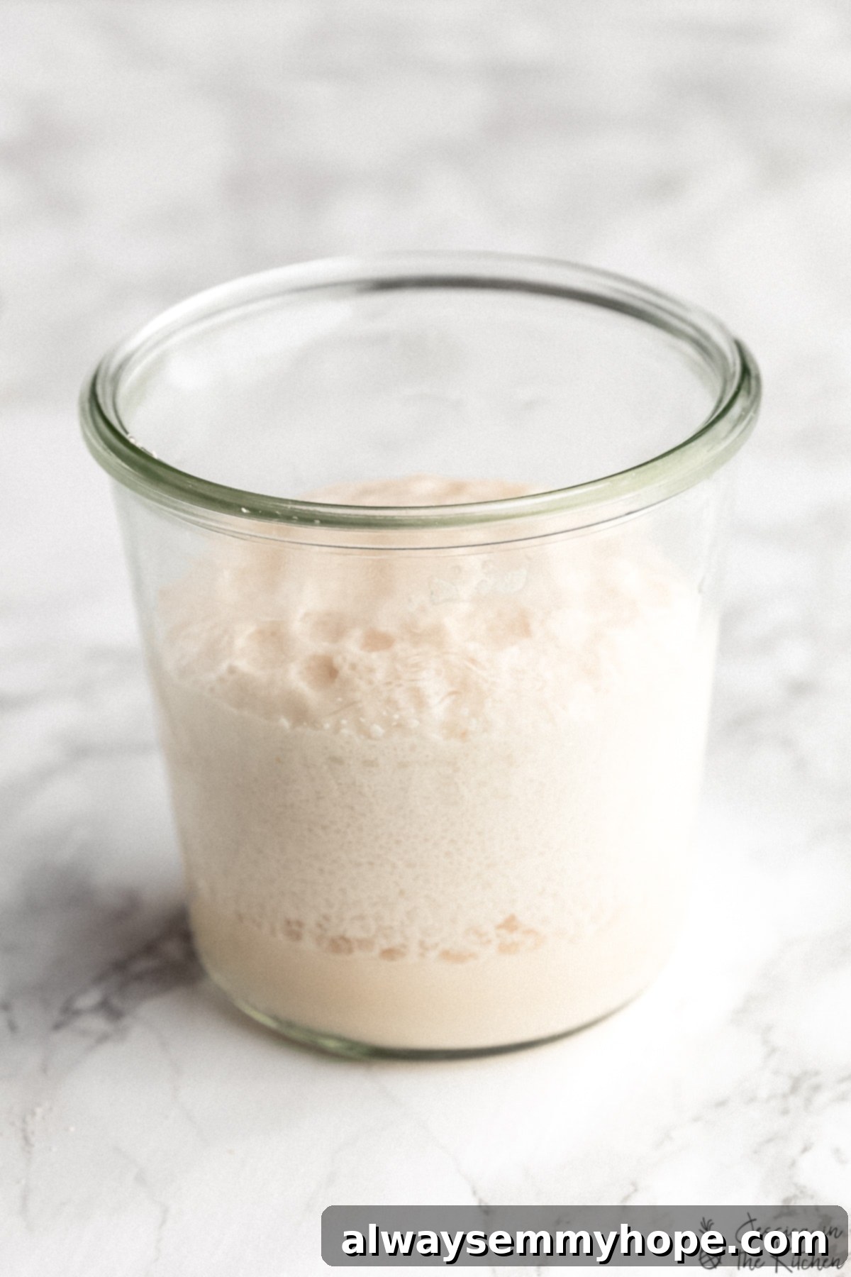 How to Test Yeast for Viability 7 Yeast that is bubbled and foamed that is fresh.