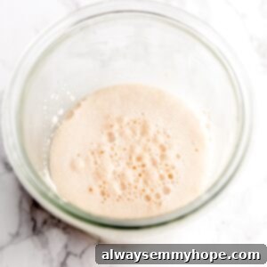 How to Test Yeast for Viability 8 Yeast bubbling and foaming in a how to test yeast process.