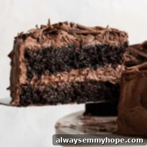 Removing slice of vegan chocolate cake from cake stand