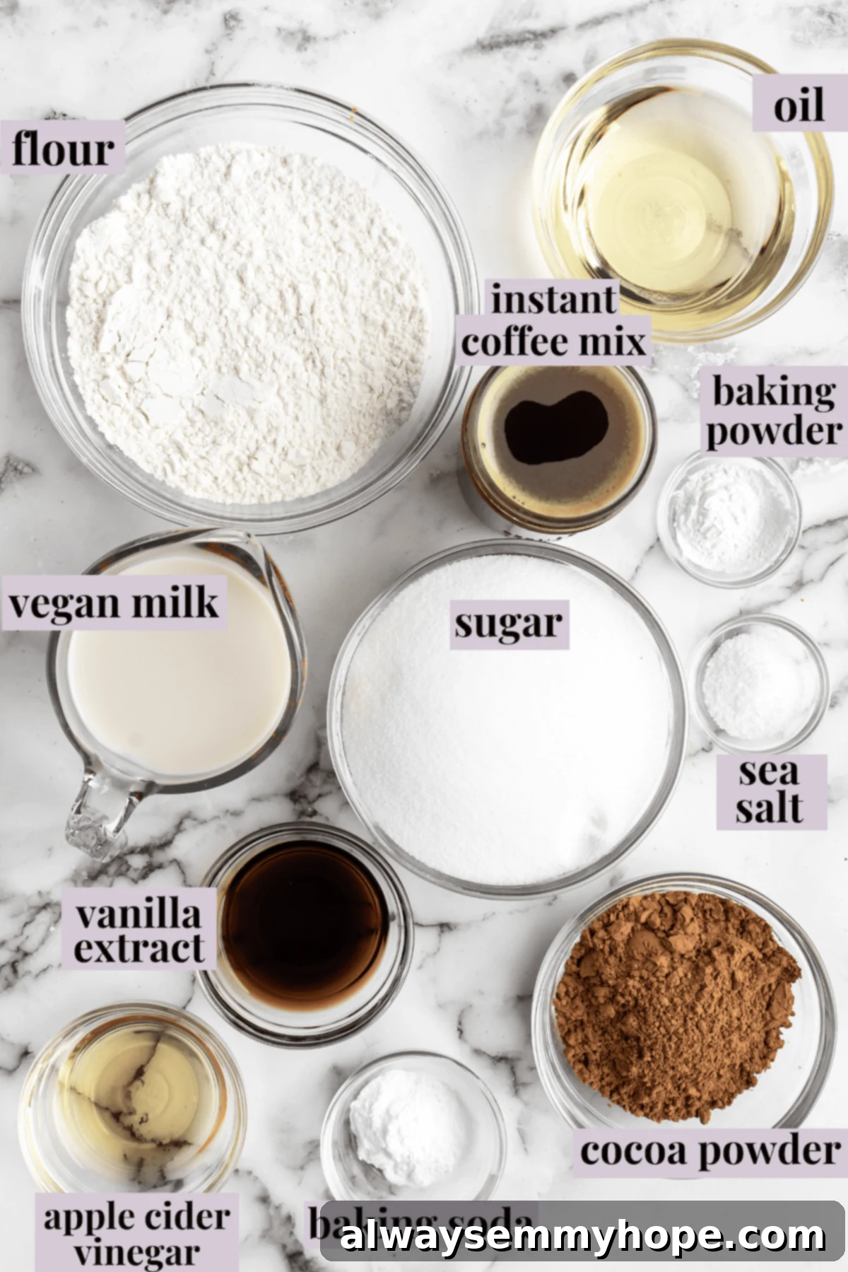 This vegan chocolate cake recipe is the best you'll ever try and the easiest too! Make it yourself and find out why it's a reader favorite. Overhead view of vegan chocolate cake ingredients with labels.