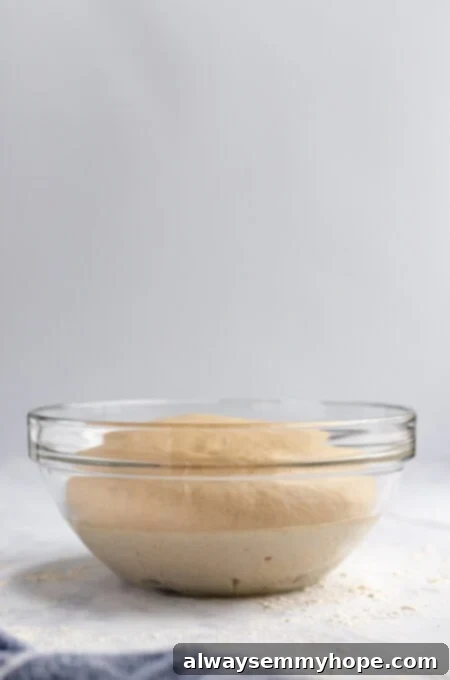 A birds-eye view of perfectly risen pizza dough in a bowl, showcasing its airy texture and doubled volume.