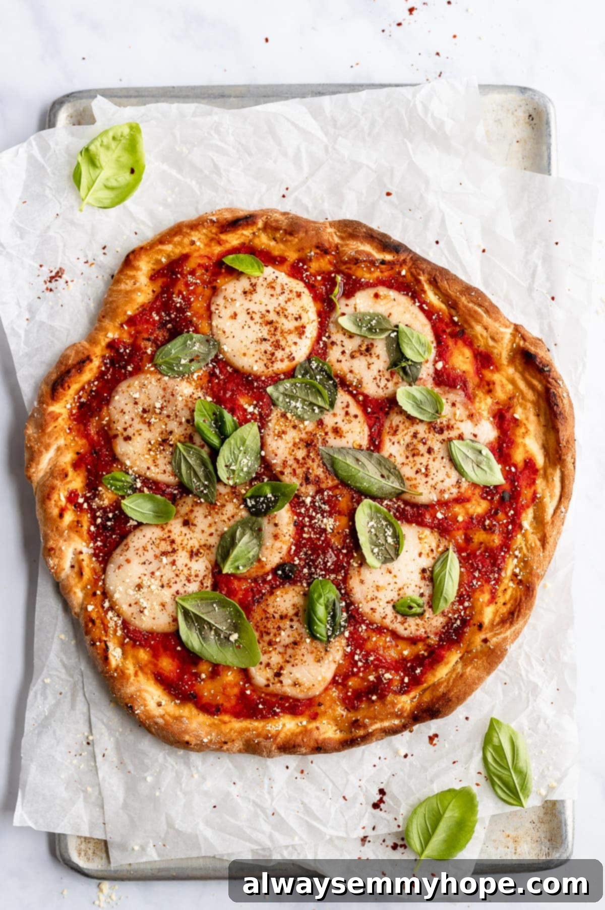 photo of finished vegan pizza topped with melted mozzarella and fresh basil leaves