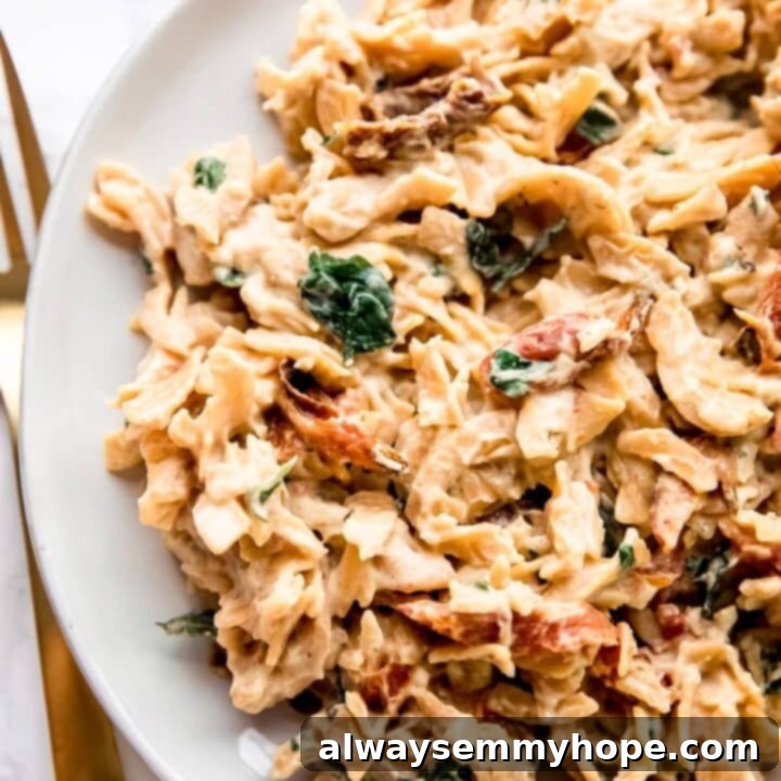 18 Fast Vegan Dinners Under an Hour 11 Hummus Pasta