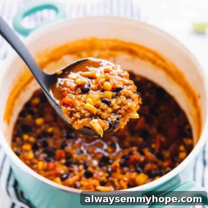 18 Fast Vegan Dinners Under an Hour 4 One Pot Red Lentil Chili