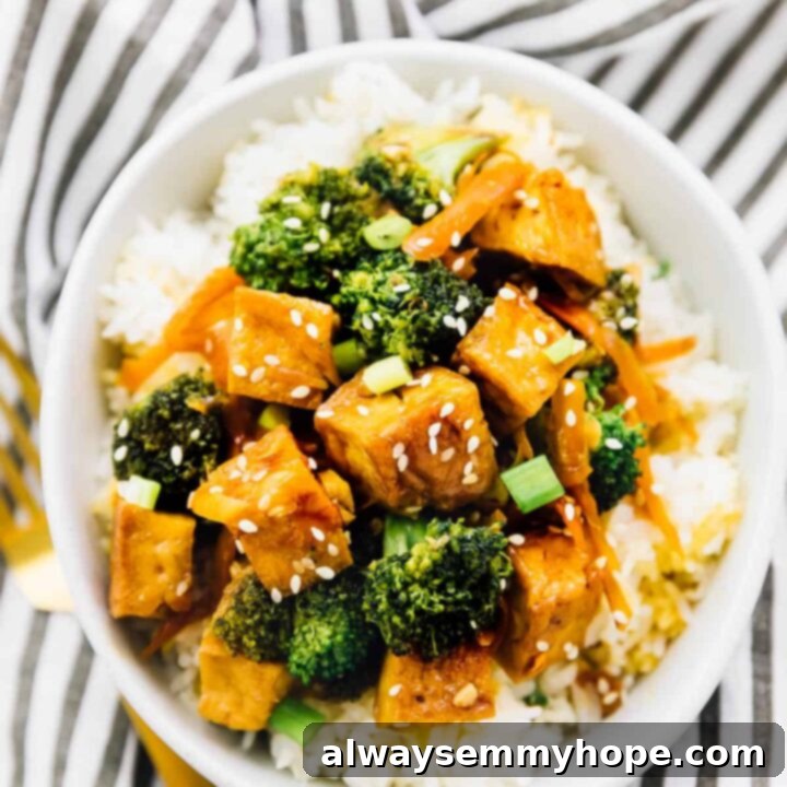 18 Fast Vegan Dinners Under an Hour 10 Tofu and Veggie Stir Fry in Sweet Ginger Sauce