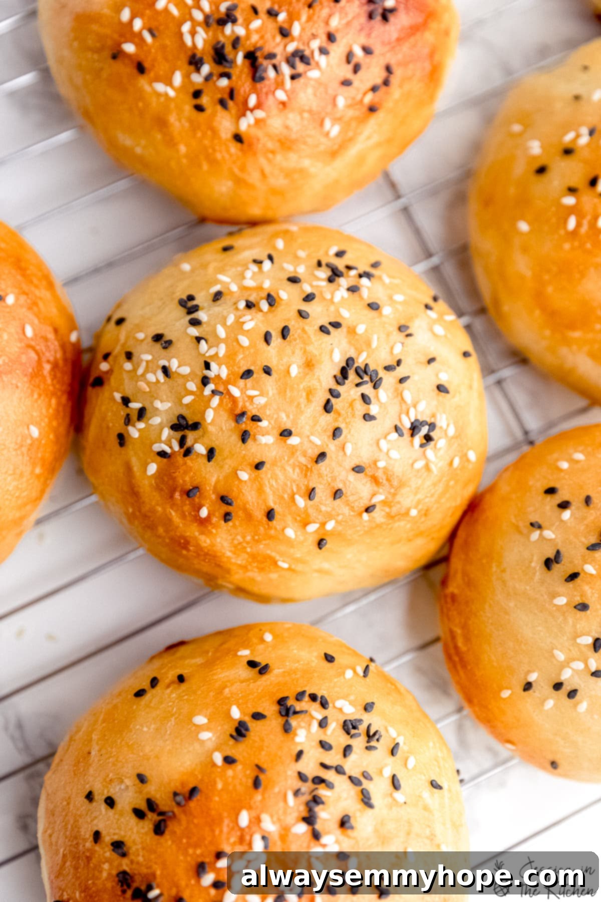 Pillowy Vegan Burger Buns 2 Burger buns overhead shot, showing their golden brown tops and soft texture.