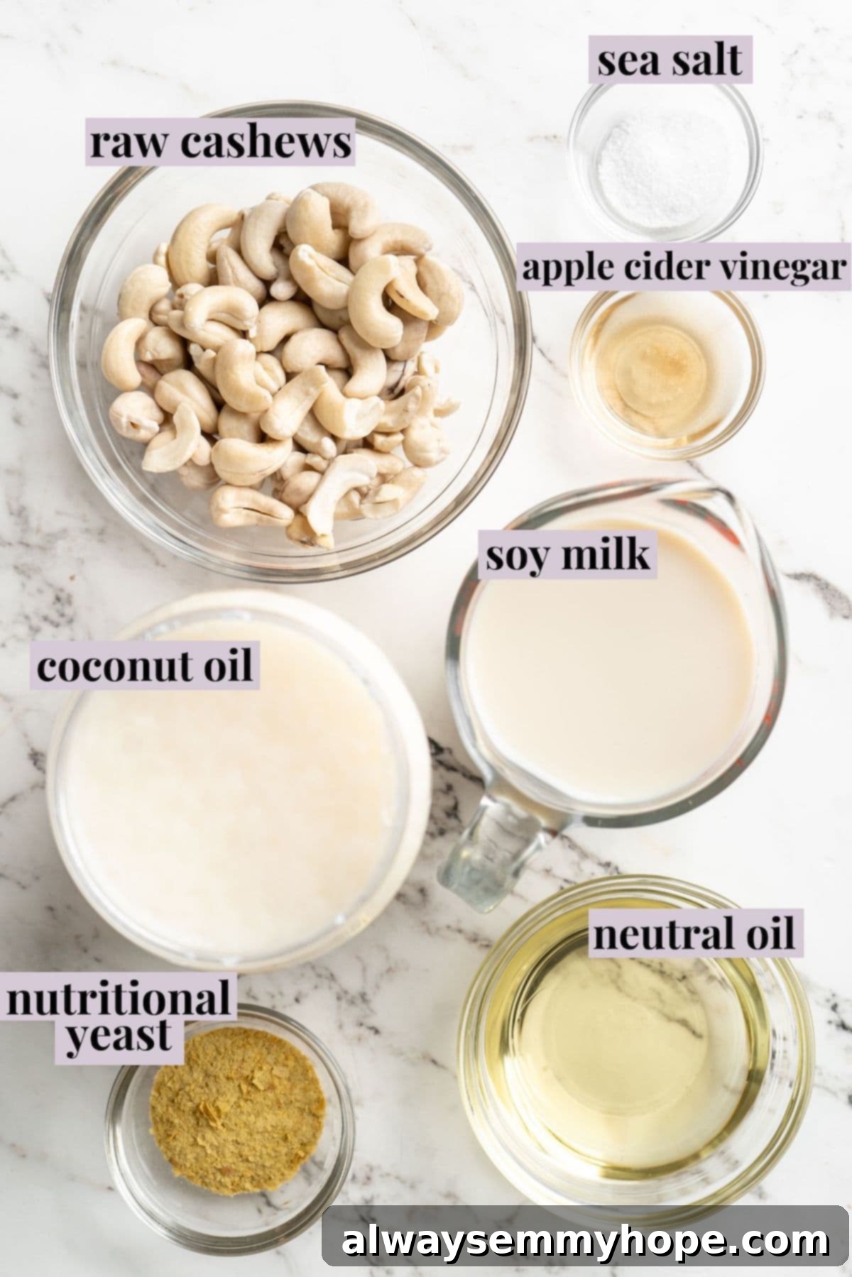 All the vegan butter ingredients, including soy milk, coconut oil, neutral oil, cashews, salt, and nutritional yeast, neatly arranged and labeled on a surface.