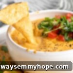 A crispy tortilla chip being dipped into a rich, creamy bowl of vegan queso, highlighting its perfect texture.