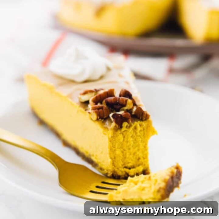 A slice of Vegan Pumpkin Cheesecake with Salted Caramel Topping.